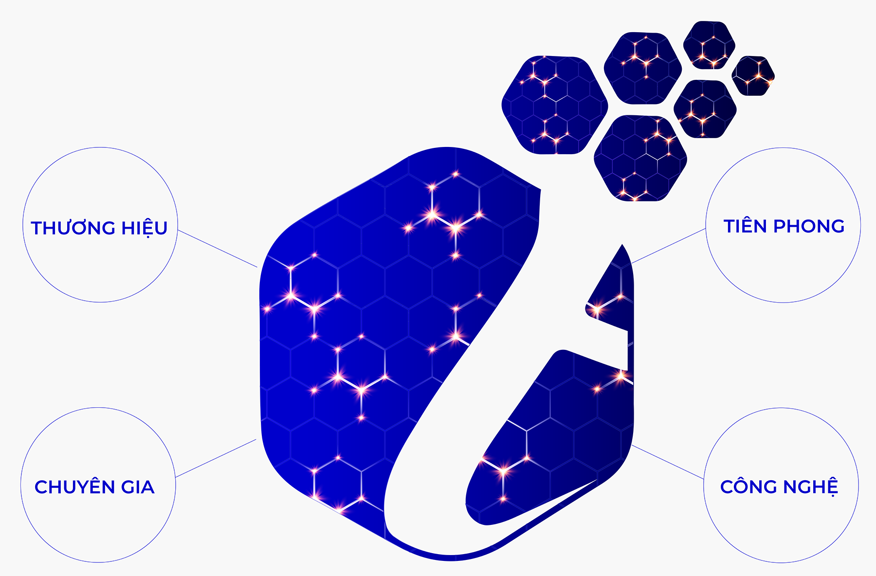 Giới thiệu về Ayago Việt Nam | Ayago Việt Nam Logo Ayago Viet Nam