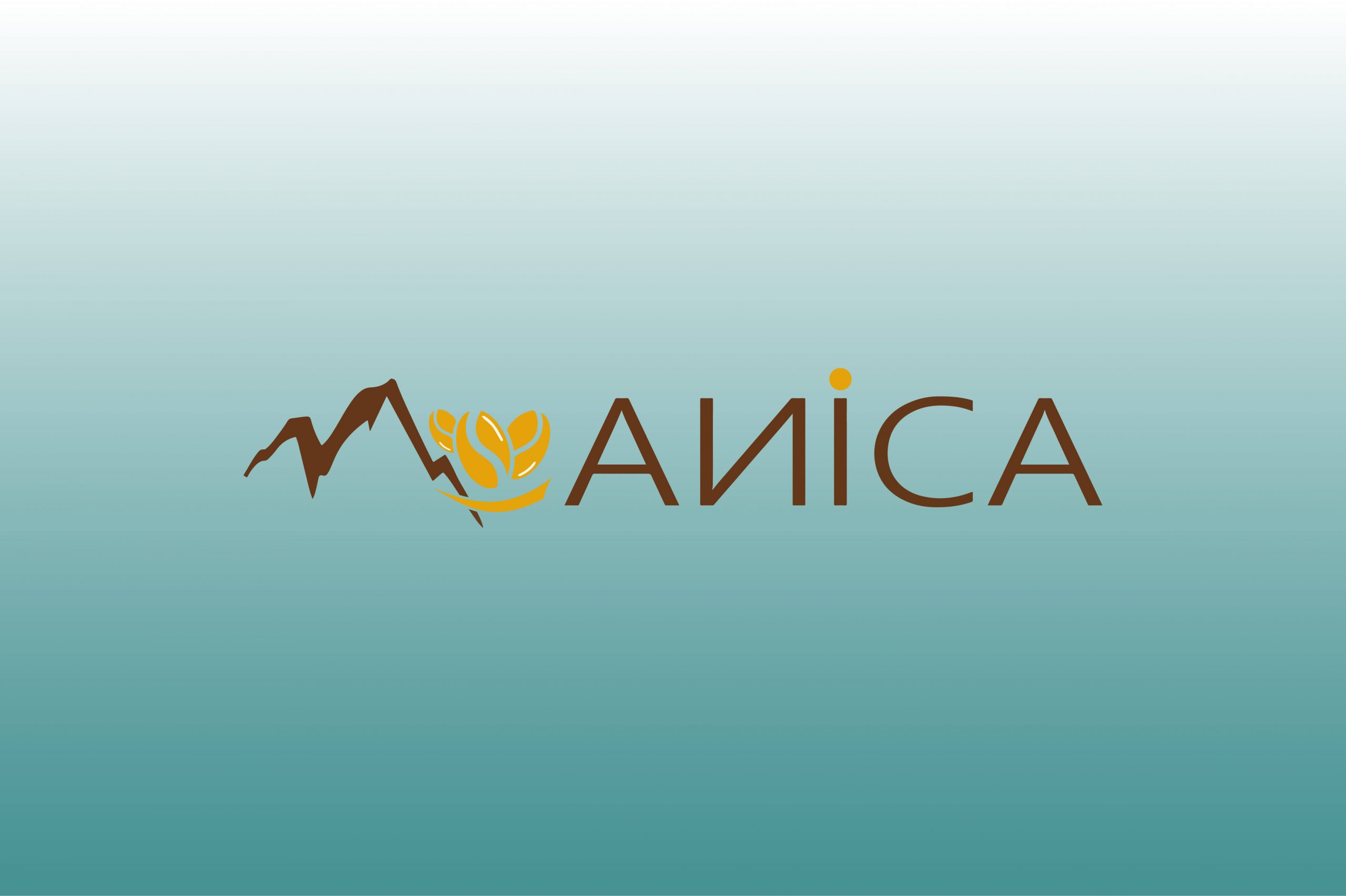 Thiết kế website Nha Trang - Ayago Branding