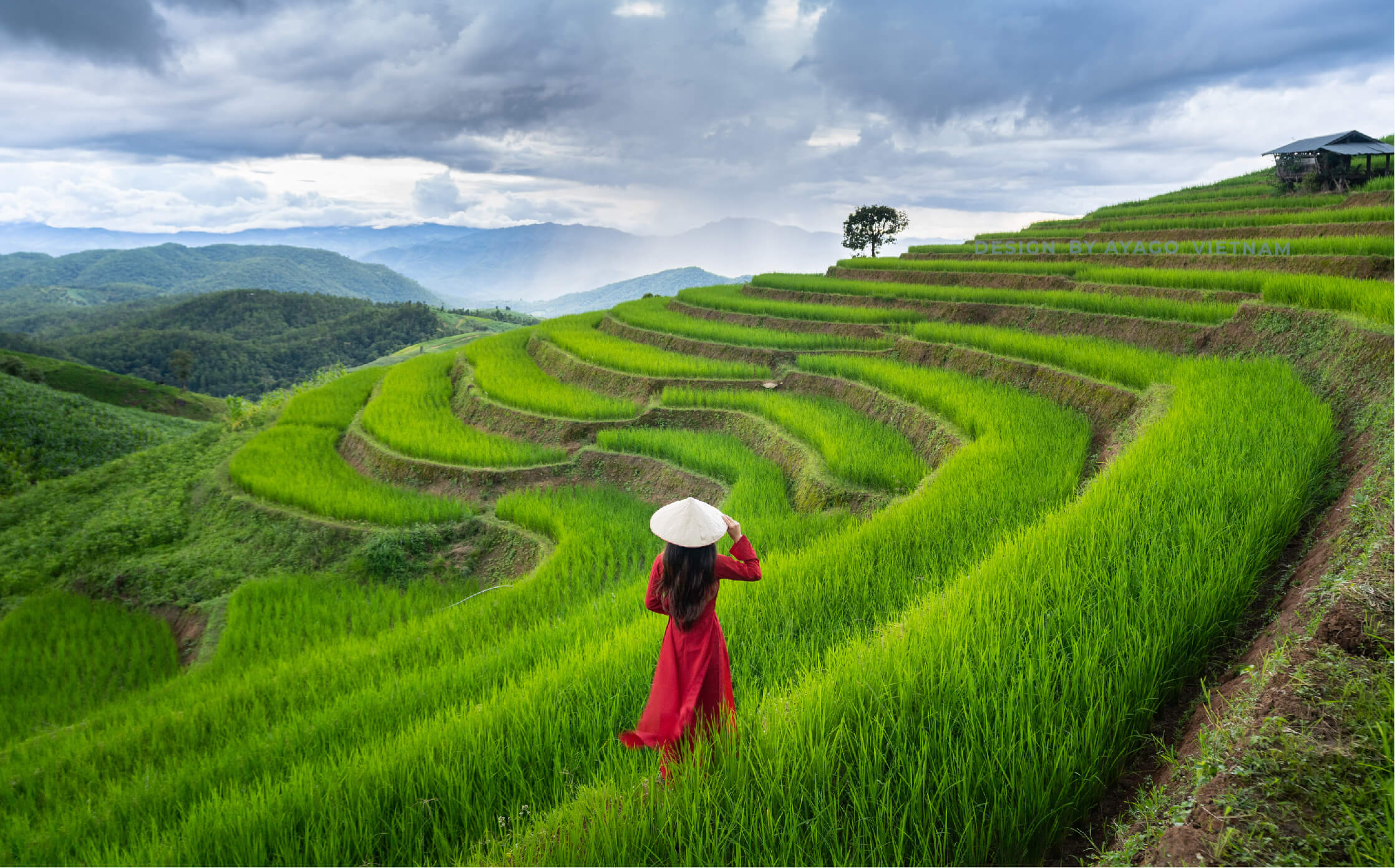 Tổ chức du lịch Nha Trang | Ayago Travel | Ayago Việt Nam Tổ chức du lịch Nha Trang - Ayago Travel