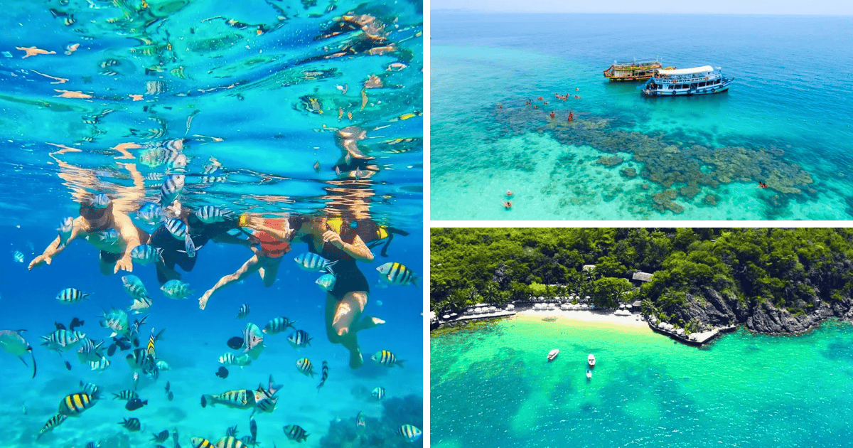 Đảo Hòn Mun Nha Trang - Thiên Đường Lặn Biển Giữa Lòng Vịnh Biển Đẹp Nhất Việt Nam | Ayago Việt Nam Đảo Hòn Mun Nha Trang - Thiên Đường Lặn Biển Giữa Lòng Vịnh Biển Đẹp Nhất Việt Nam