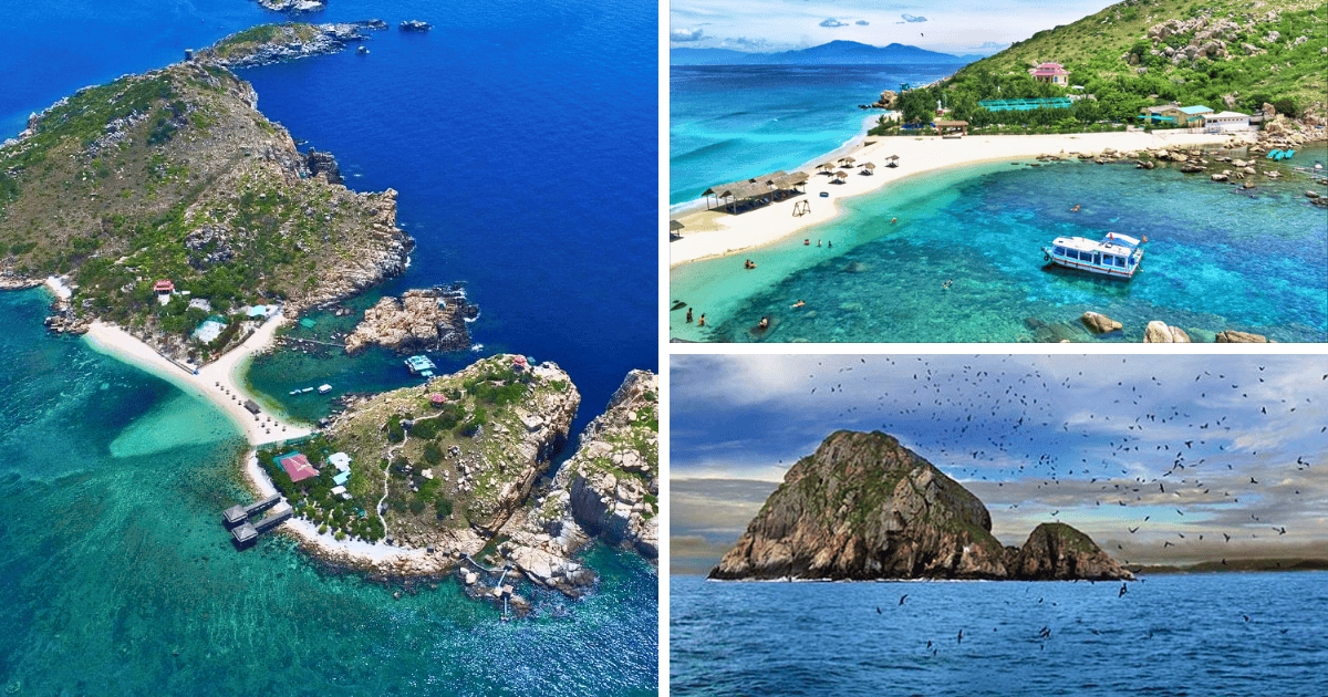 Đảo Yến Hòn Nội Nha Trang – Viên Ngọc Xanh Giữa Biển Khơi | Ayago Việt Nam Đảo Yến Hòn Nội Nha Trang – Viên Ngọc Xanh Giữa Biển Khơi